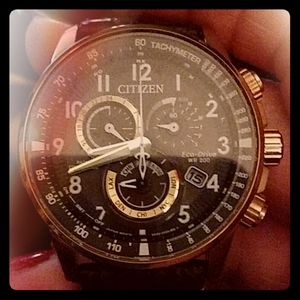 Citizens limited Perpetual Eco drive watxh